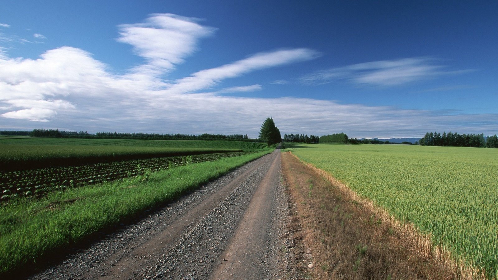 Обои дорога, облака, деревья, поле, road, clouds, trees, field разрешение 1920x1440 Загрузить