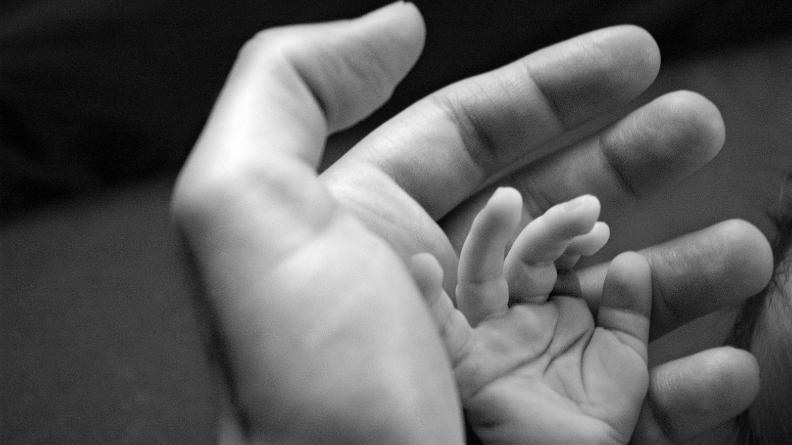 Обои руки, отец, младенец, hands, father, baby разрешение 1920x1200 Загрузить