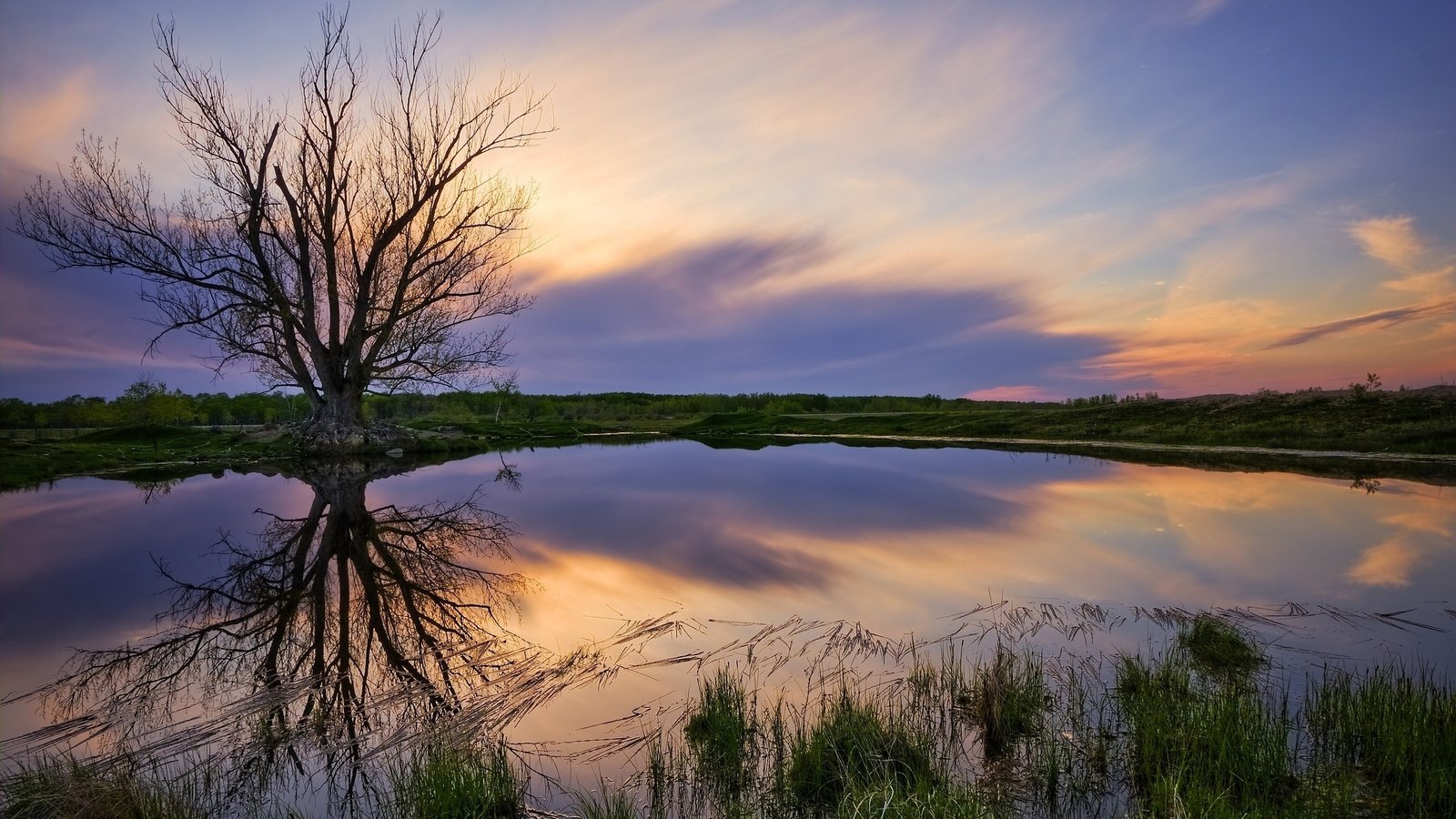 Обои небо, озеро, дерево, берег, закат, пейзаж, природ, the sky, lake, tree, shore, sunset, landscape, natures разрешение 2560x1577 Загрузить