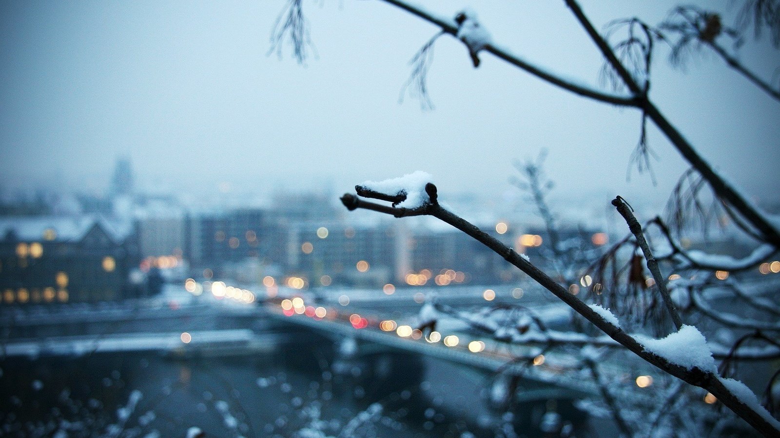 Обои ветка, снег, зима, город, branch, snow, winter, the city разрешение 1920x1200 Загрузить