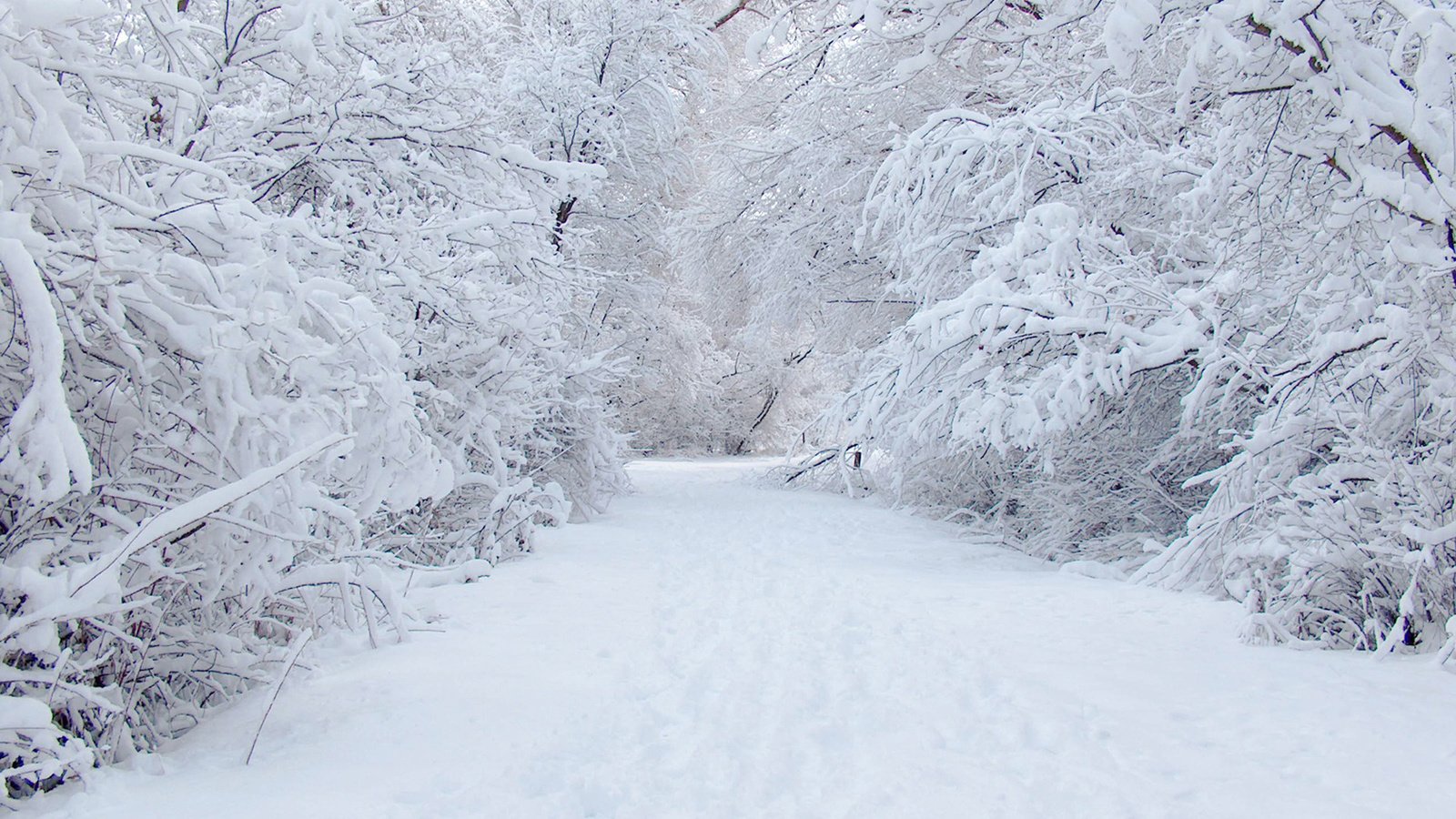 Обои дорога, снег, зима, road, snow, winter разрешение 1920x1280 Загрузить