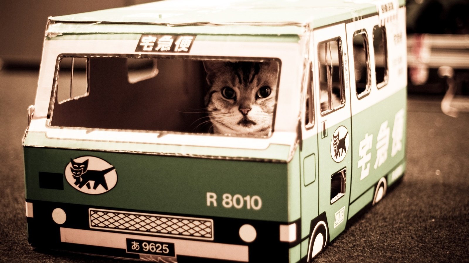 Обои nekobasu, кошачий автобус, котик, cat bus, cat разрешение 1920x1200 Загрузить