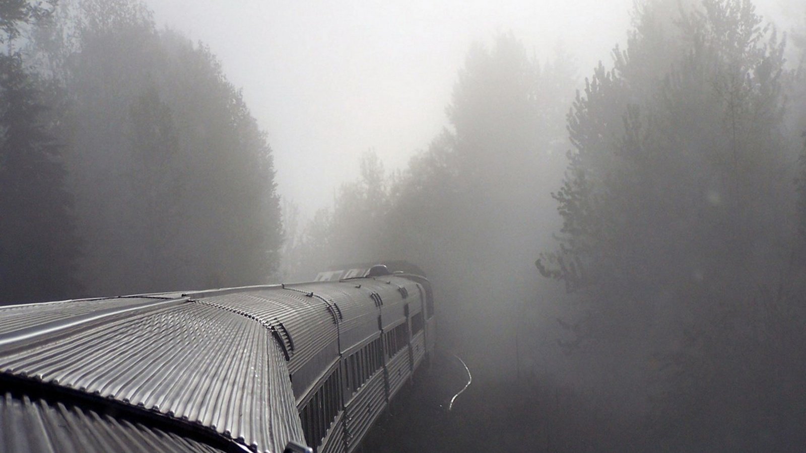 Обои туман, поезд, вагоны, fog, train, cars разрешение 1920x1200 Загрузить