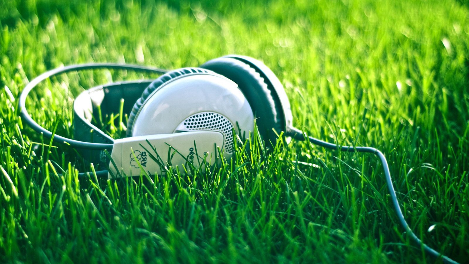 Обои природа, лето, музыка, наушники, травка, шнур, nature, summer, music, headphones, weed, cord разрешение 1920x1080 Загрузить