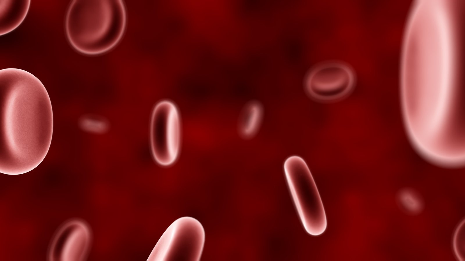 Обои кровь, красный, кровяные тельца, blood, red, blood cells разрешение 4800x1200 Загрузить