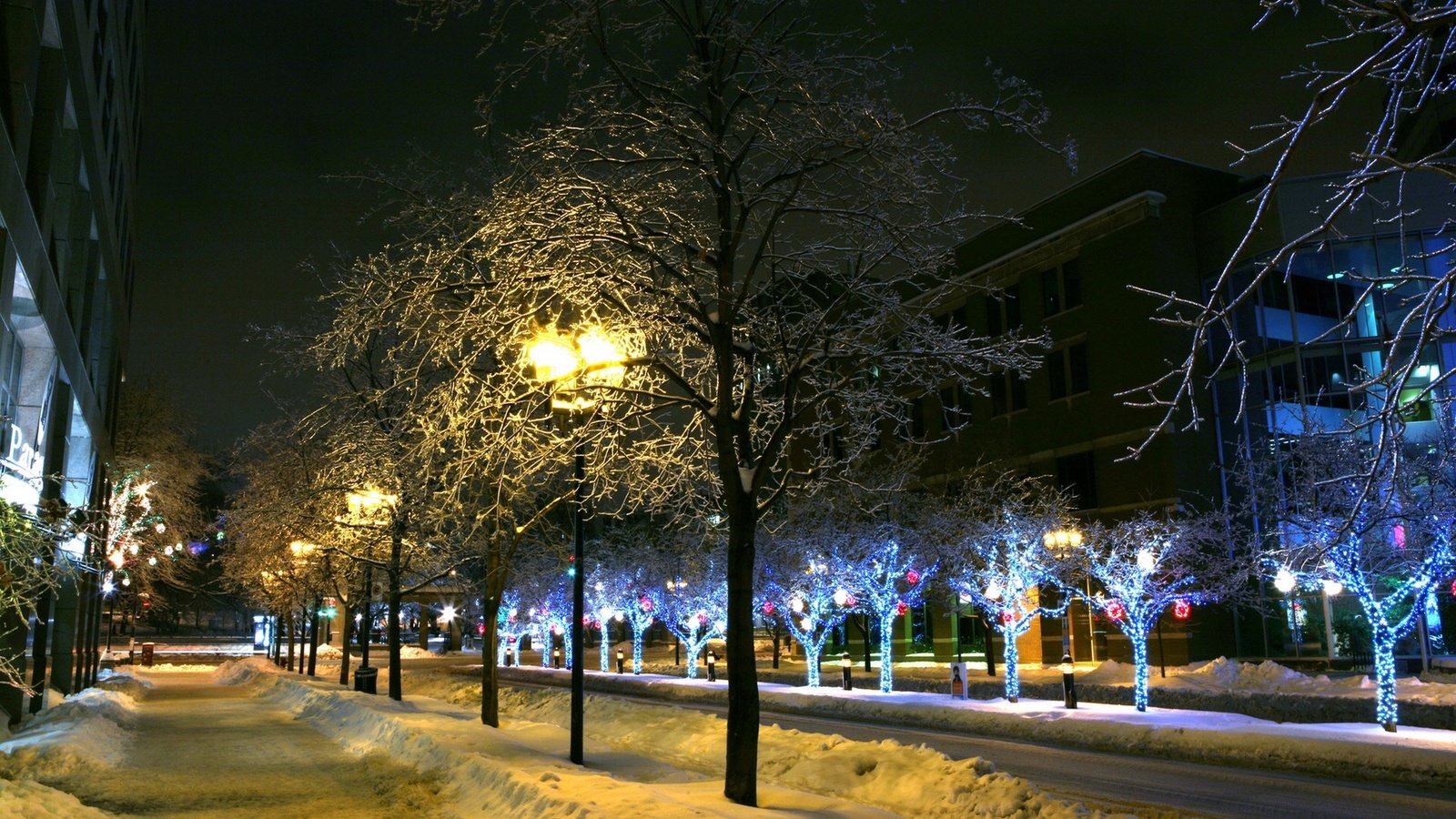 Обои деревья, фонари, огни, снег, зима, город, trees, lights, snow, winter, the city разрешение 2560x1600 Загрузить