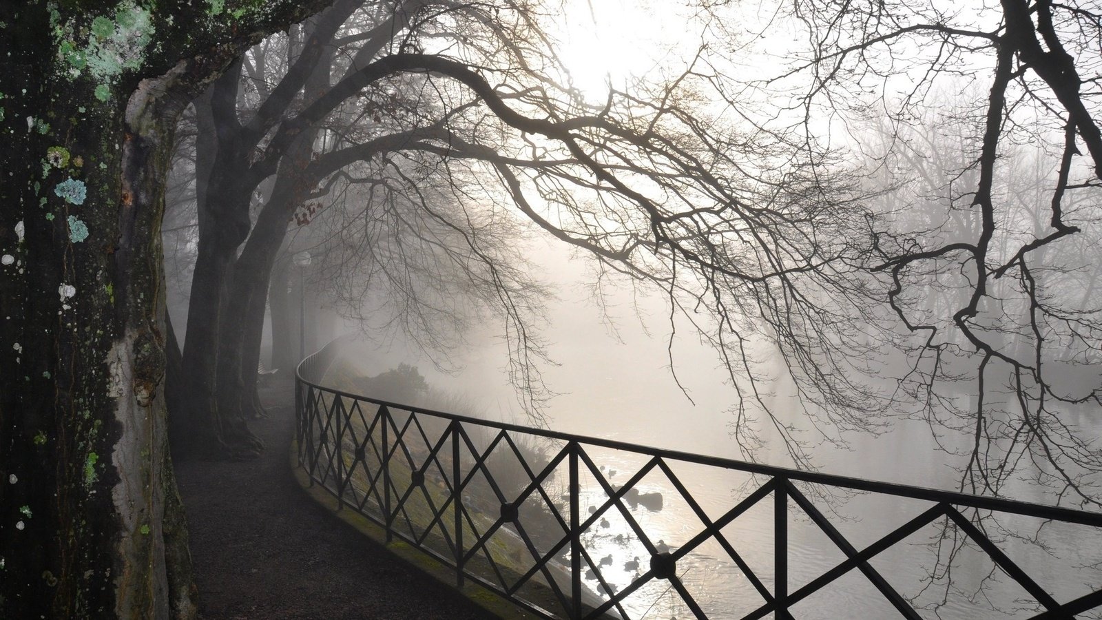 Обои деревья, река, парк, туман, рассвет, забор, trees, river, park, fog, dawn, the fence разрешение 1920x1080 Загрузить