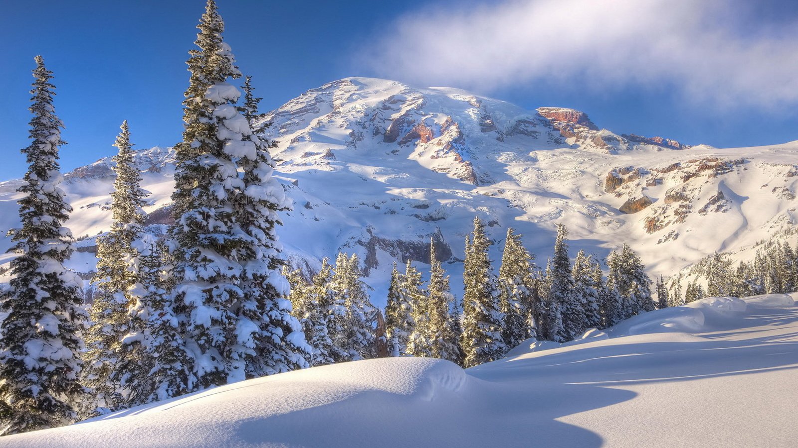 Обои деревья, горы, снег, зима, trees, mountains, snow, winter разрешение 1920x1080 Загрузить