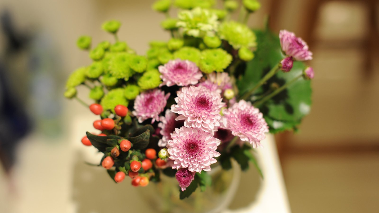 Обои цветы, букет, хризантемы, flowers, bouquet, chrysanthemum разрешение 2560x1600 Загрузить