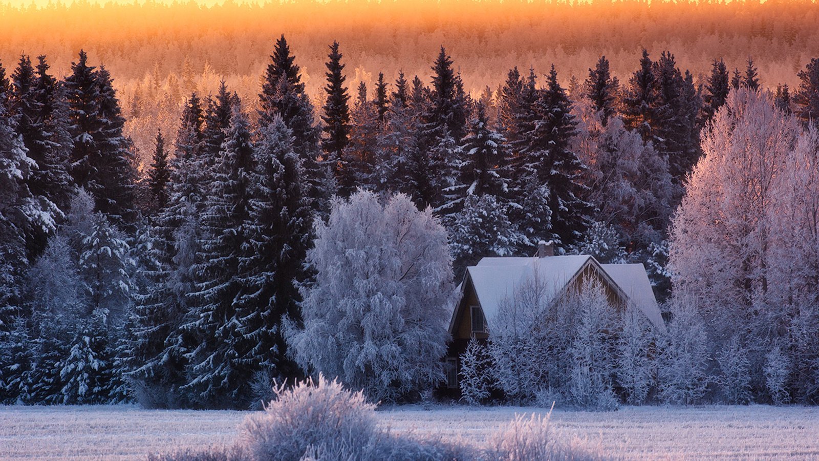 Обои природа, лес, зима, дом, nature, forest, winter, house разрешение 1920x1200 Загрузить