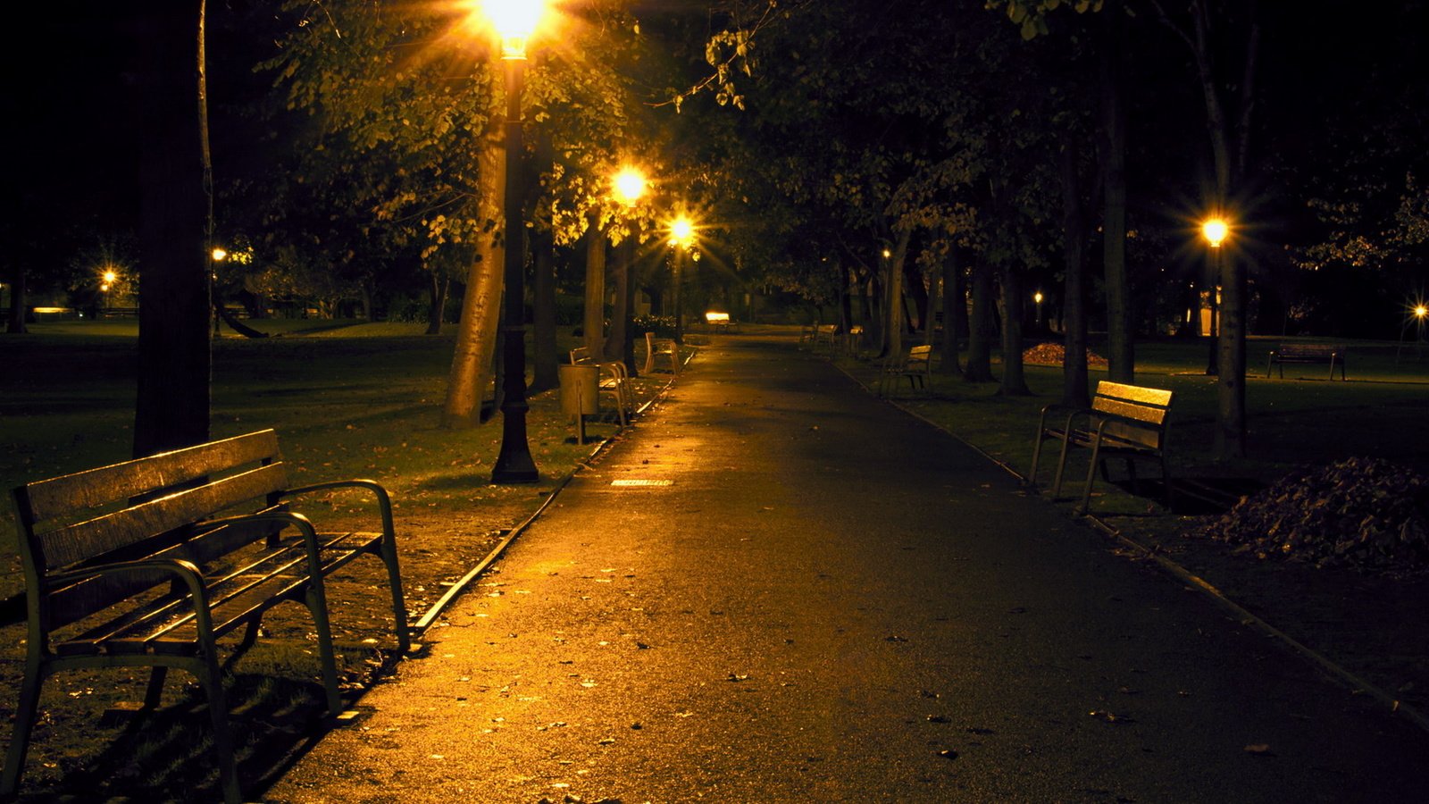 Обои ночь, фонари, парк, скамейка, аллея, night, lights, park, bench, alley разрешение 1920x1200 Загрузить