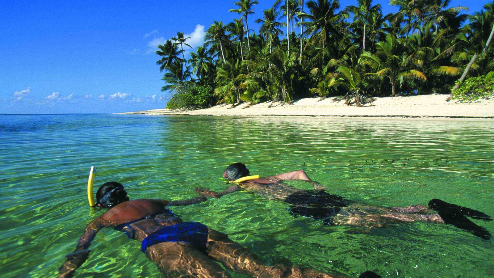 Обои пляж, пальмы, тропики, мальдивы, дайвинг, beach, palm trees, tropics, the maldives, diving разрешение 2689x1728 Загрузить