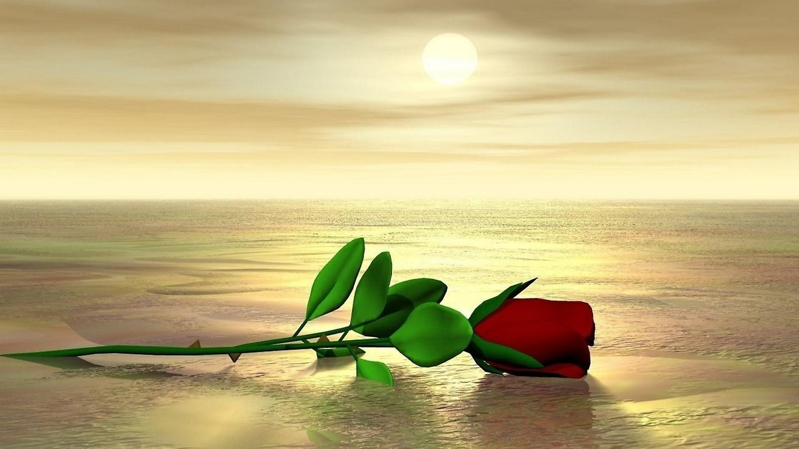 Обои роза на мокром песке, the rose on the wet sand разрешение 1920x1080 Загрузить