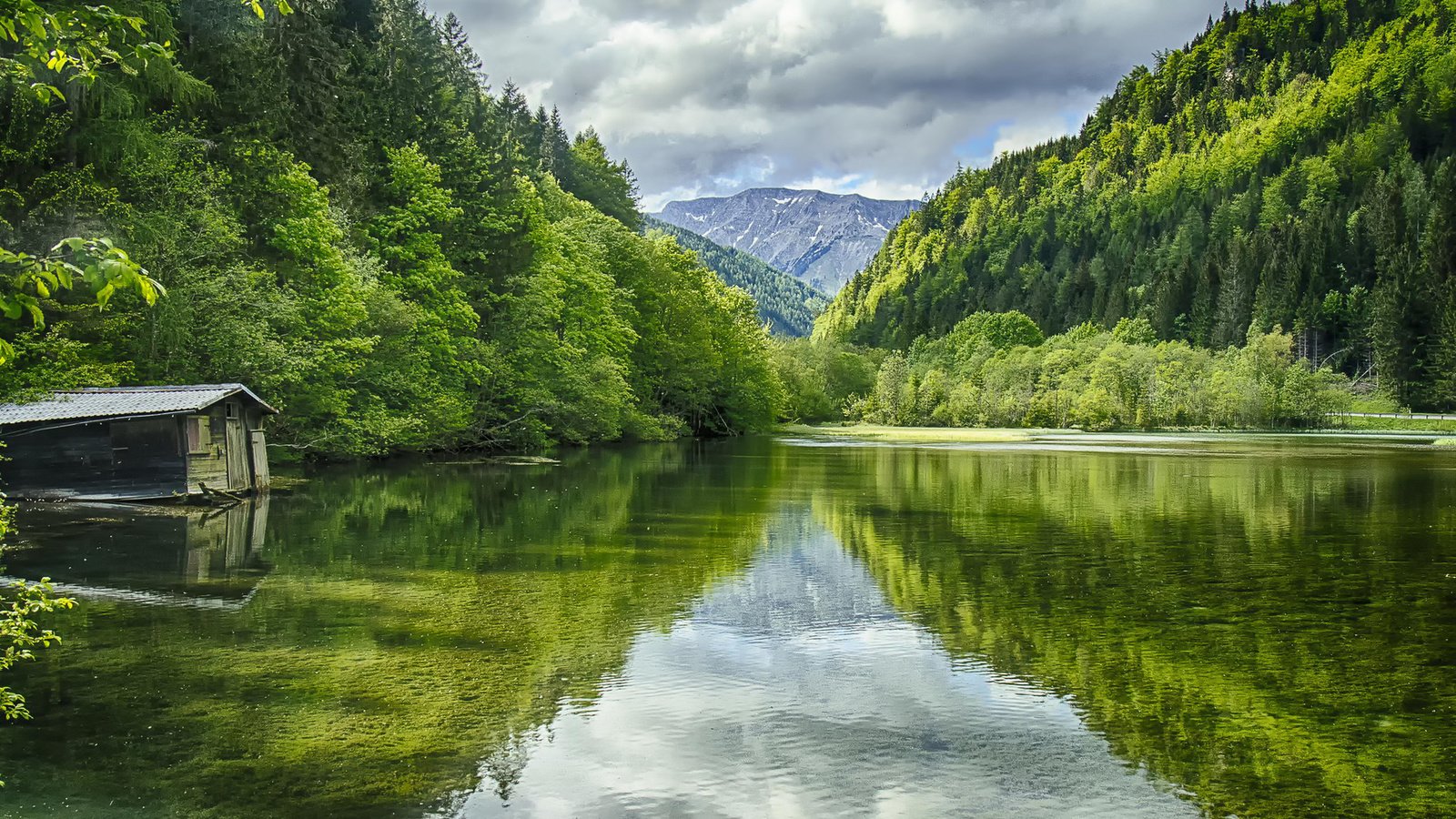 Обои деревья, вода, озеро, горы, природа, пейзаж, австрия, green lake, trees, water, lake, mountains, nature, landscape, austria разрешение 1920x1200 Загрузить