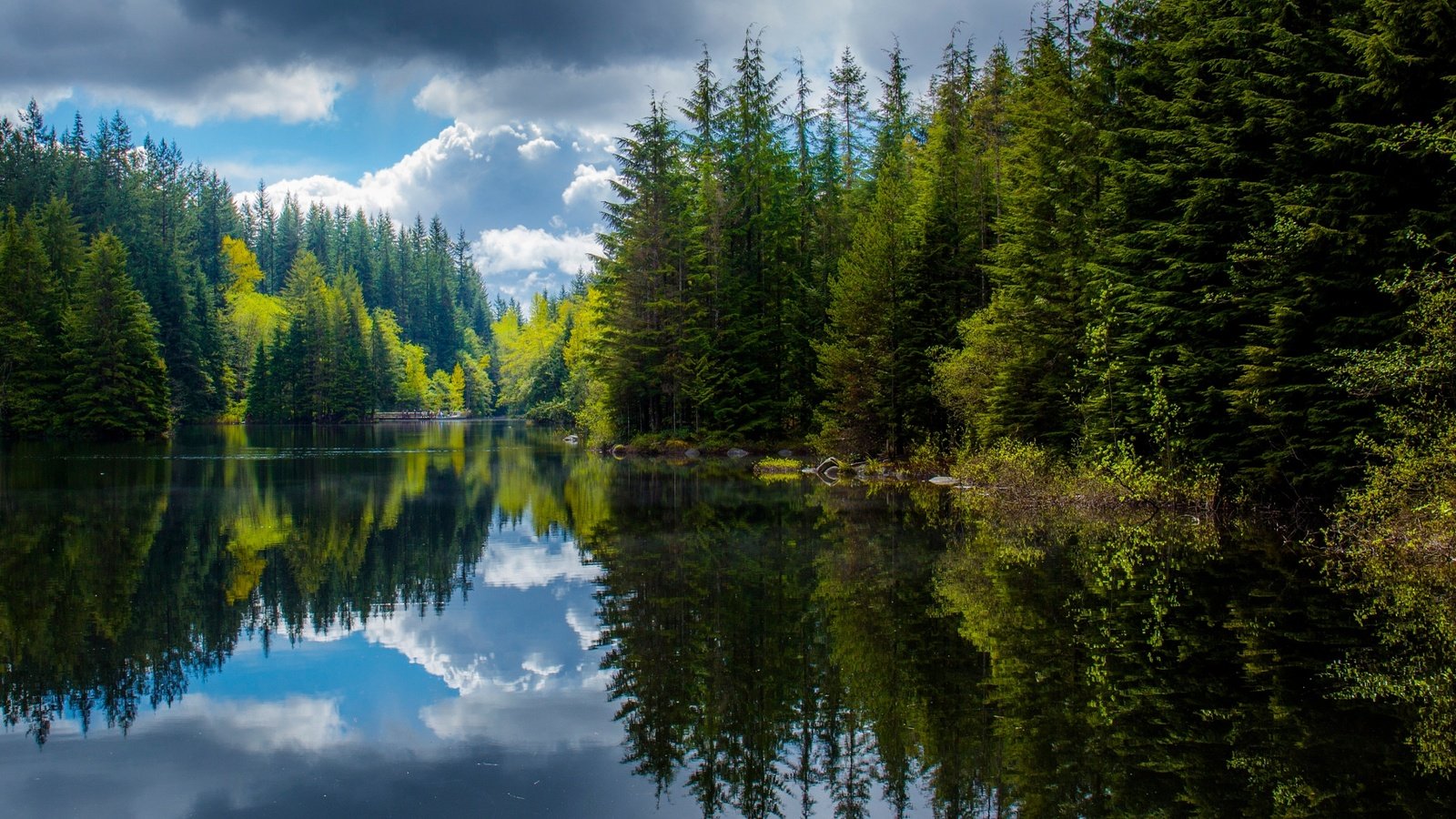 Обои озеро, лес, отражения, весна, канада, британская колумбия, lake, forest, reflection, spring, canada, british columbia разрешение 2048x1151 Загрузить