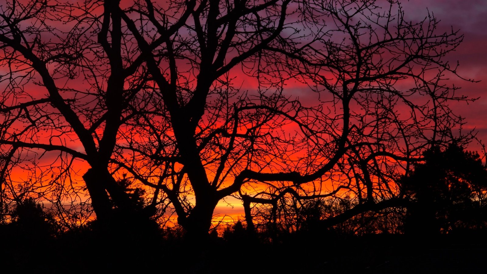 Обои небо, облака, деревья, закат, силуэт, the sky, clouds, trees, sunset, silhouette разрешение 2048x1317 Загрузить