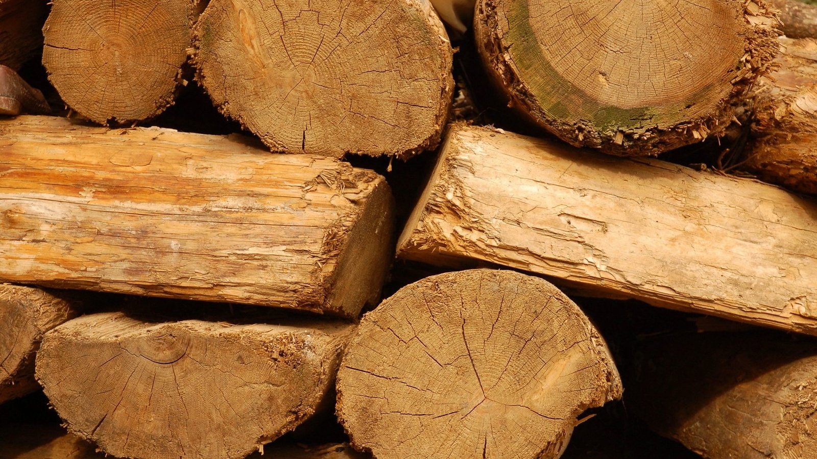 Обои дерево, текстура, доски, дрова, бревна, tree, texture, board, wood, logs разрешение 1920x1200 Загрузить
