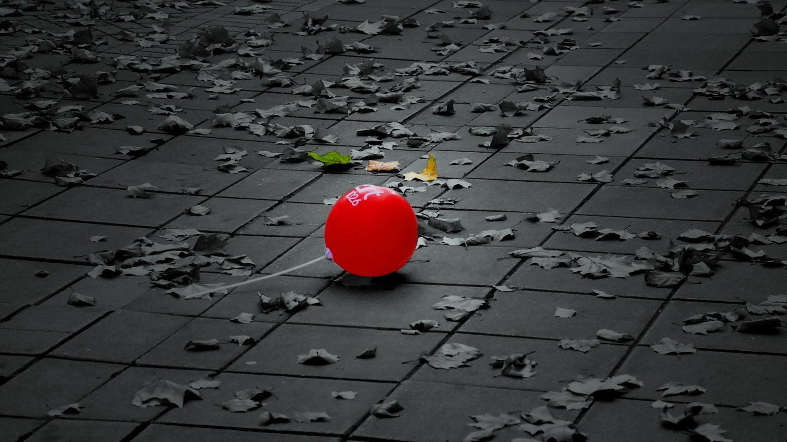 Обои листья, улица, шарик, плитка, воздушный шарик, leaves, street, ball, tile, a balloon разрешение 1920x1080 Загрузить