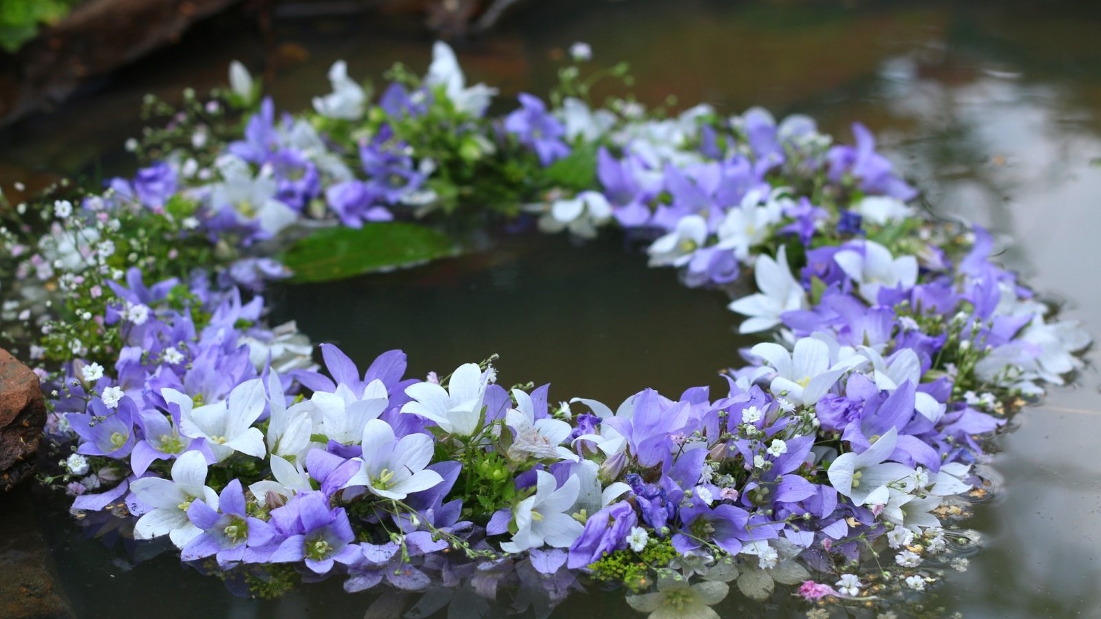 Обои цветы, вода, белые, колокольчики, венок, сиреневые, flowers, water, white, bells, wreath, lilac разрешение 1920x1280 Загрузить