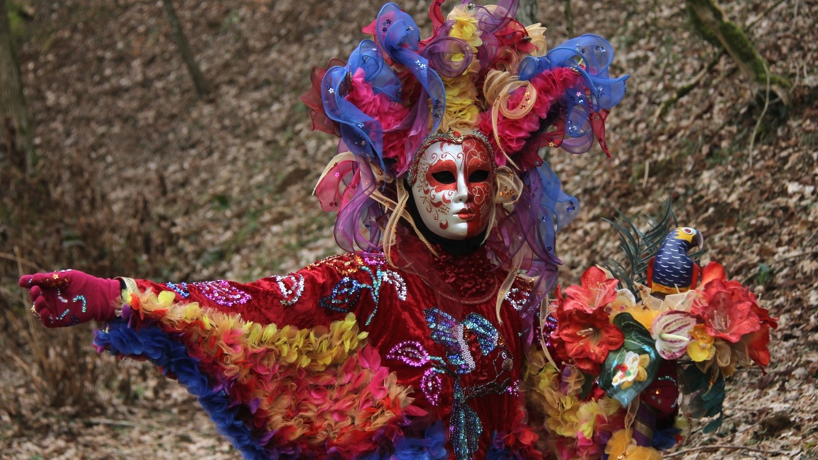 Обои маска, венеция, костюм, попугай, карнавал, mask, venice, costume, parrot, carnival разрешение 2400x1511 Загрузить