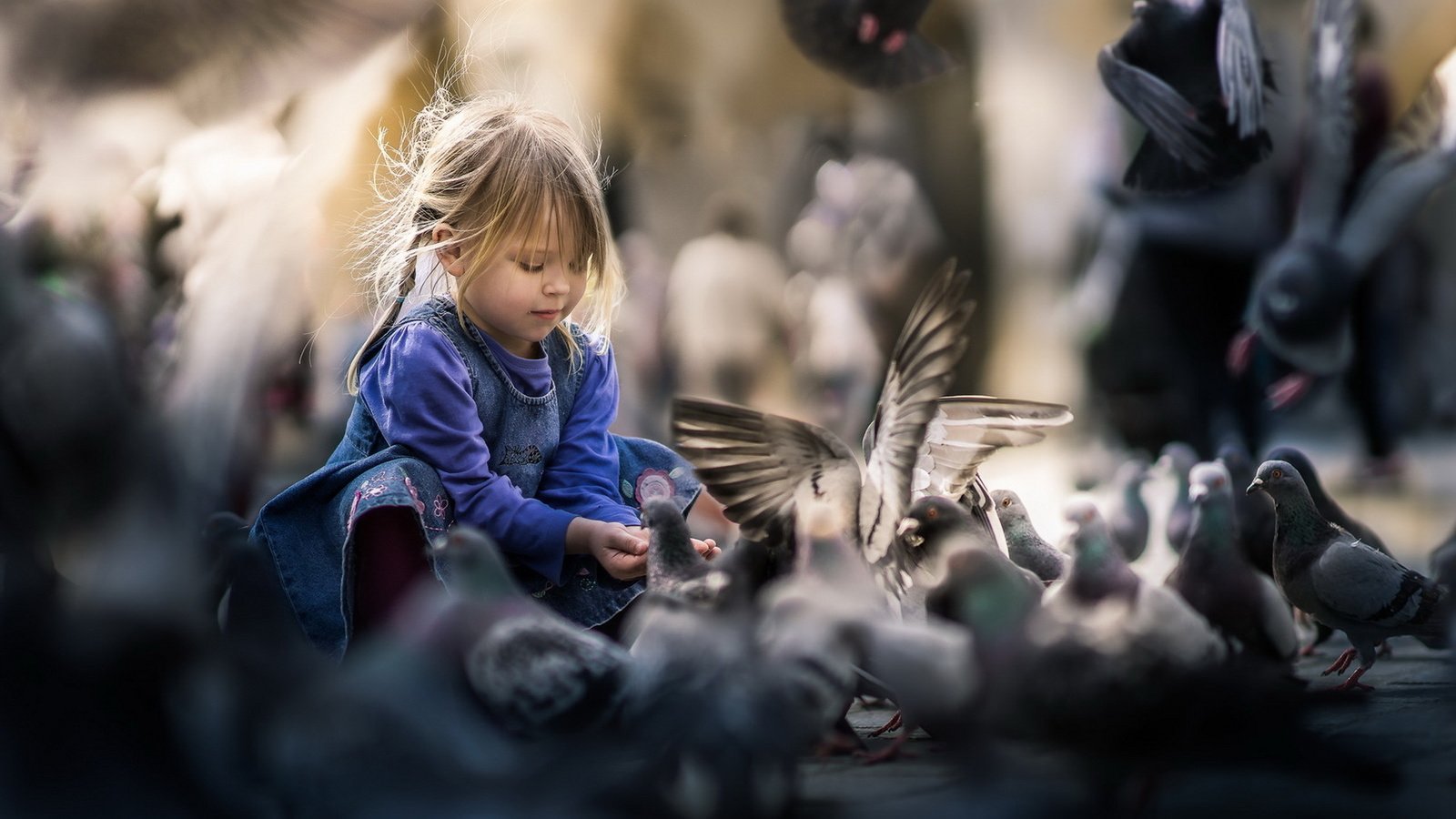 Обои девочка, улица, птицы, girl, street, birds разрешение 1920x1279 Загрузить