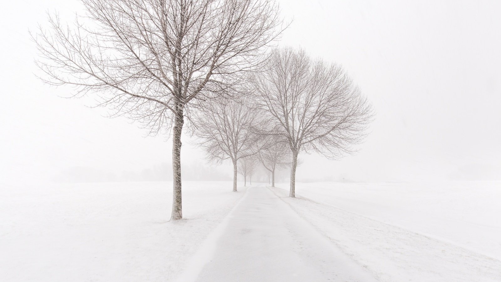 Обои дорога, деревья, снег, зима, метель, road, trees, snow, winter, blizzard разрешение 2048x1365 Загрузить