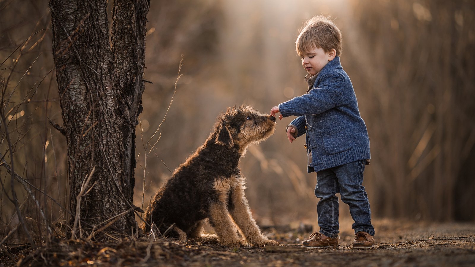 Обои собака, мальчик, друзья, dog, boy, friends разрешение 1920x1200 Загрузить