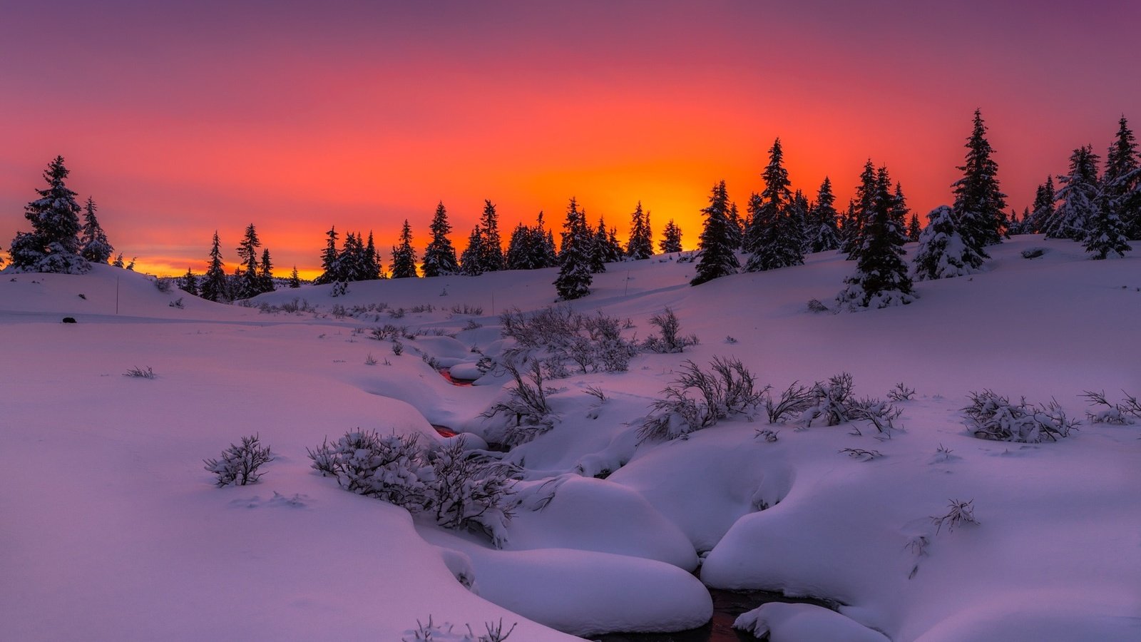 Обои деревья, сугробы, вечер, снег, природа, лес, закат, зима, ручей, trees, the snow, the evening, snow, nature, forest, sunset, winter, stream разрешение 2048x1410 Загрузить