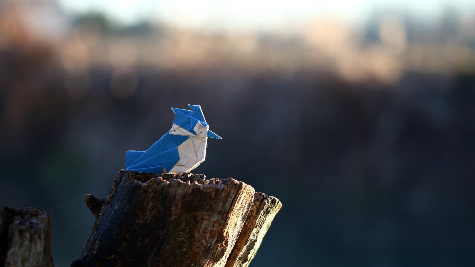 Обои бумага, птица, оригами, crested kingfisher, paper, bird, origami разрешение 2560x1707 Загрузить