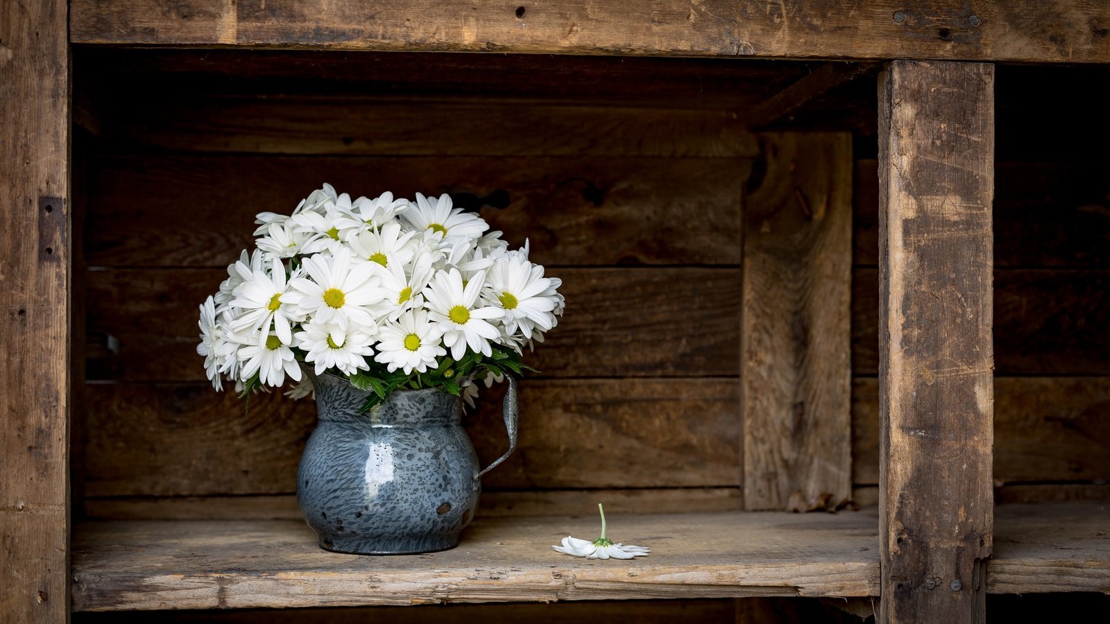 Обои цветы, фон, ромашки, букет, кувшин, flowers, background, chamomile, bouquet, pitcher разрешение 2048x1365 Загрузить