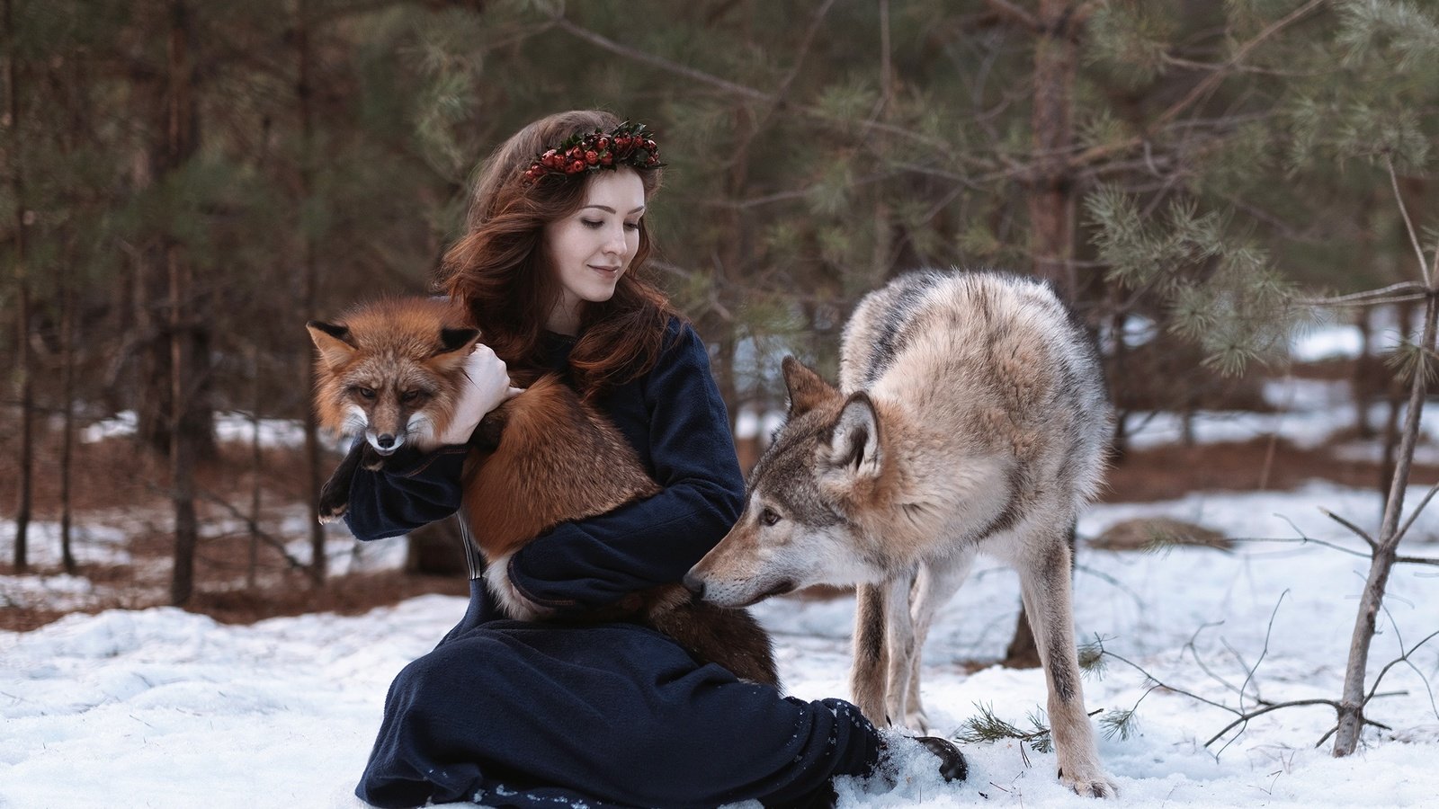 Обои снег, природа, лес, девушка, животные, лиса, волосы, волк, snow, nature, forest, girl, animals, fox, hair, wolf разрешение 2250x1500 Загрузить