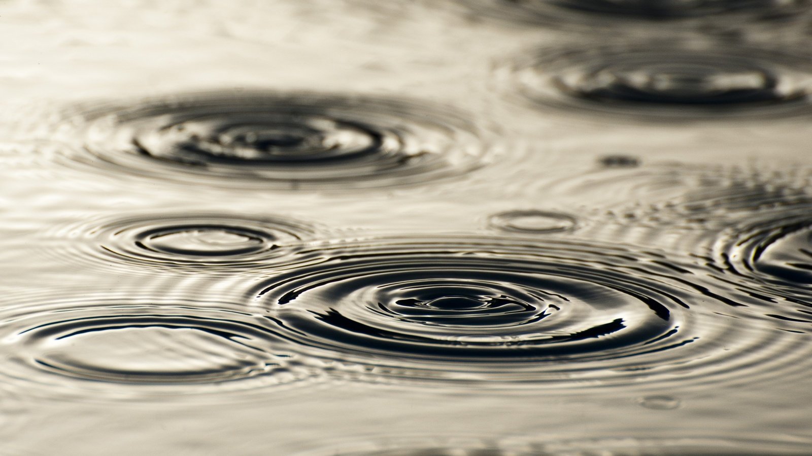 Обои вода, капли, круги, разводы, дождь, water, drops, circles, divorce, rain разрешение 2560x1600 Загрузить