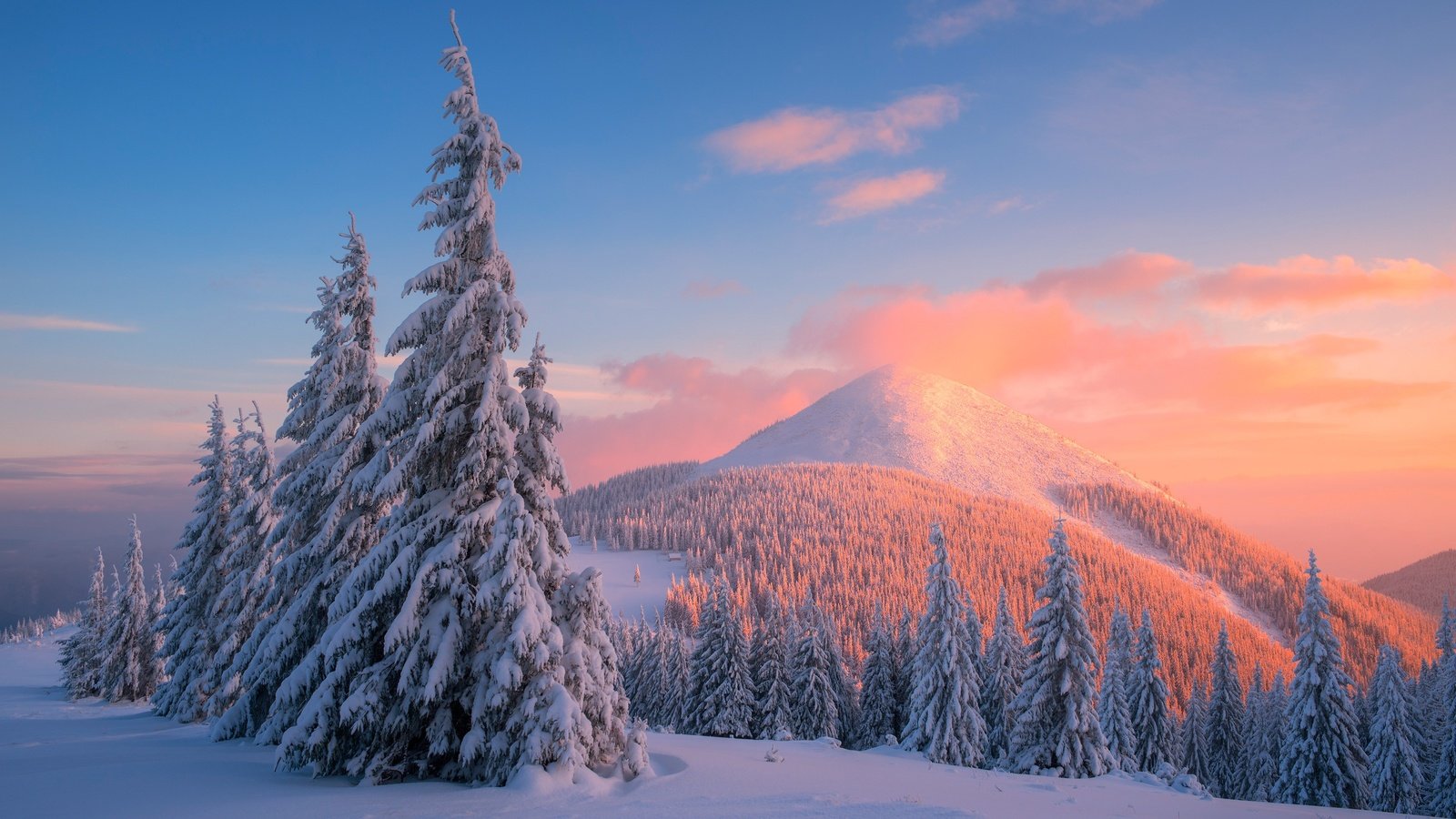 Обои деревья, горы, снег, закат, зима, сосны, карпаты, trees, mountains, snow, sunset, winter, pine, carpathians разрешение 4000x2670 Загрузить