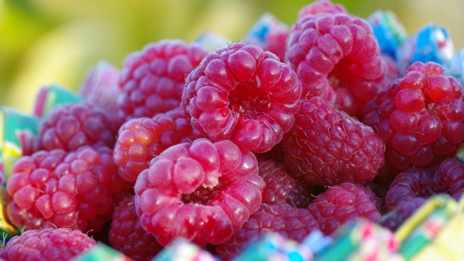 Обои малина, ягода, ягоды, крупным планом, raspberry, berry, berries, closeup разрешение 1920x1080 Загрузить