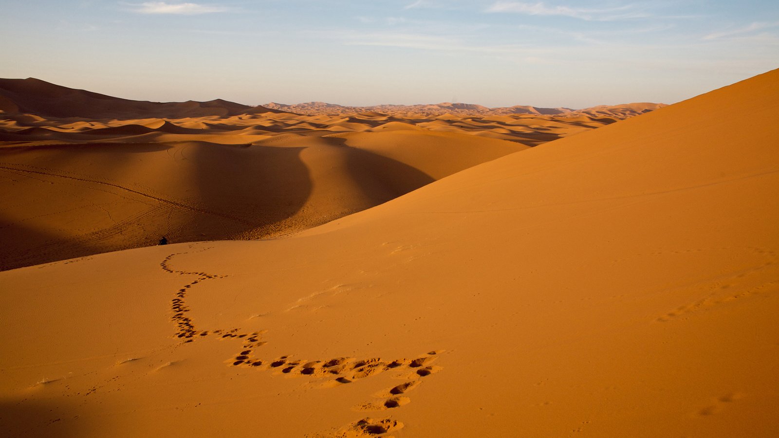 Обои природа, пейзаж, песок, пустыня, следы, дюны, nature, landscape, sand, desert, traces, dunes разрешение 1920x1200 Загрузить