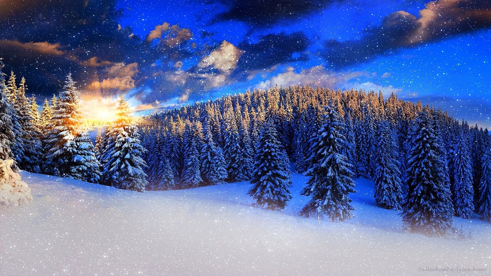 Обои небо, снег, природа, лес, закат, зима, ели, the sky, snow, nature, forest, sunset, winter, ate разрешение 2560x1440 Загрузить