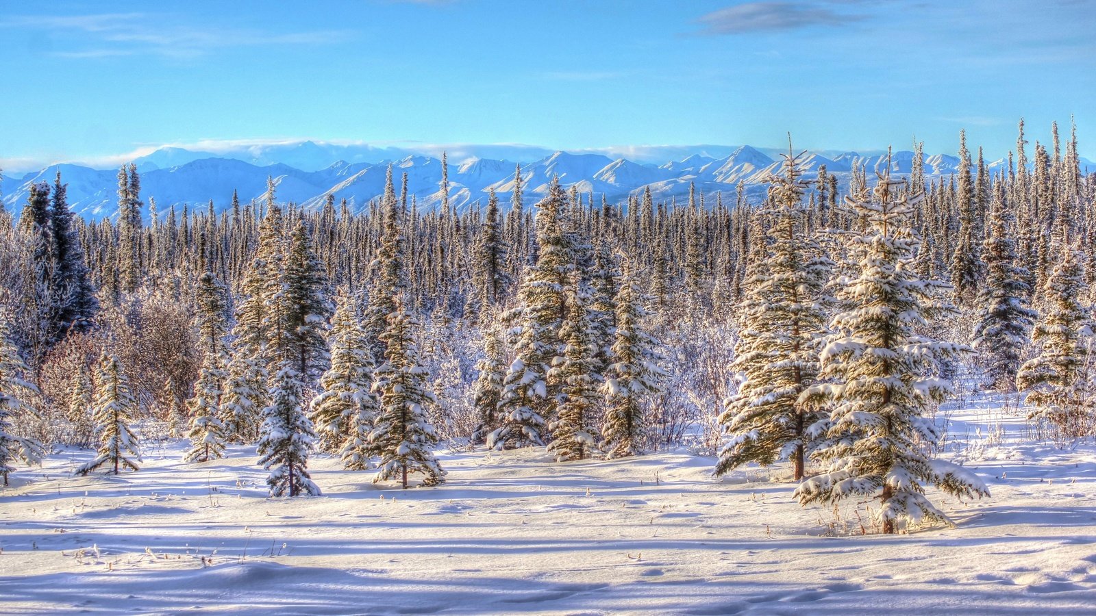 Обои небо, горы, снег, природа, зима, пейзаж, аляска,     деревья, the sky, mountains, snow, nature, winter, landscape, alaska, trees разрешение 4837x3262 Загрузить