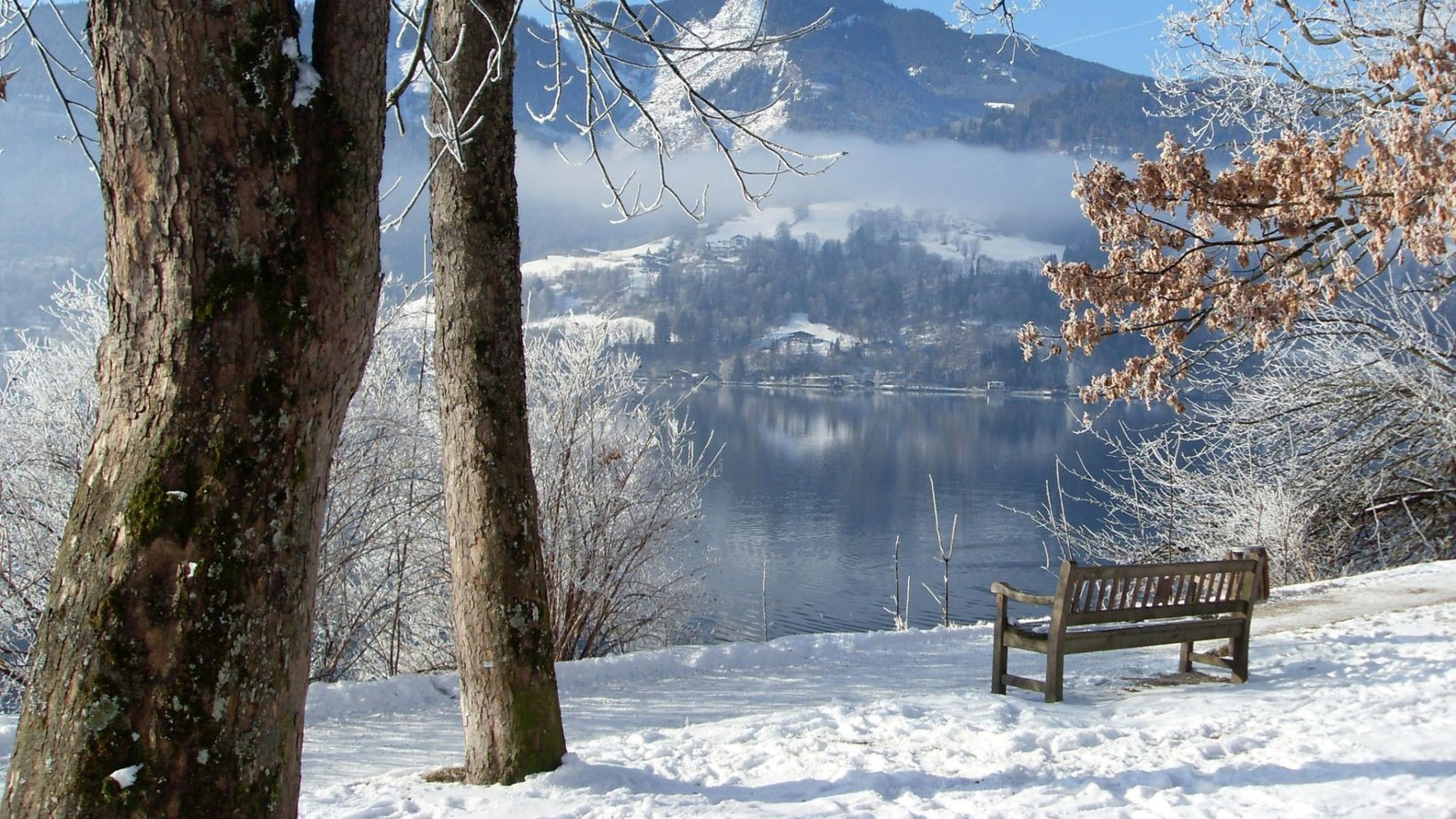 Обои деревья, река, горы, снег, зима, скамейка, trees, river, mountains, snow, winter, bench разрешение 1920x1080 Загрузить