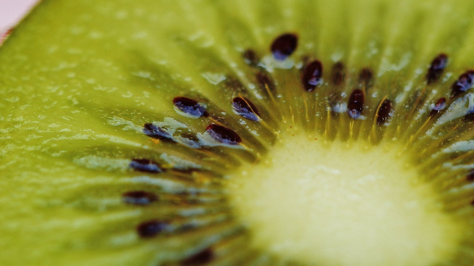 Обои фрукты, киви, крупным планом, fruit, kiwi, closeup разрешение 6016x4000 Загрузить