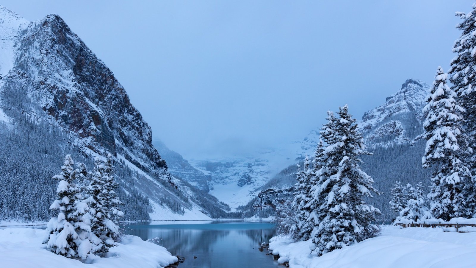 Обои деревья, lake louisebanff, озеро, горы, снег, лес, зима, канада, национальный парк, trees, lake, mountains, snow, forest, winter, canada, national park разрешение 1920x1200 Загрузить