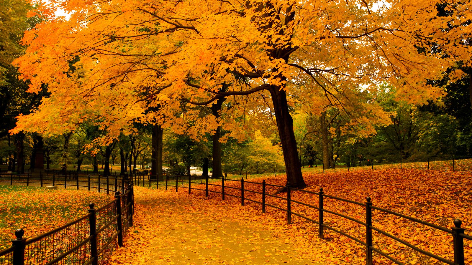 Обои деревья, природа, листья, парк, осень, забор, аллея, ramoncito roman bucud, trees, nature, leaves, park, autumn, the fence, alley разрешение 3840x2400 Загрузить