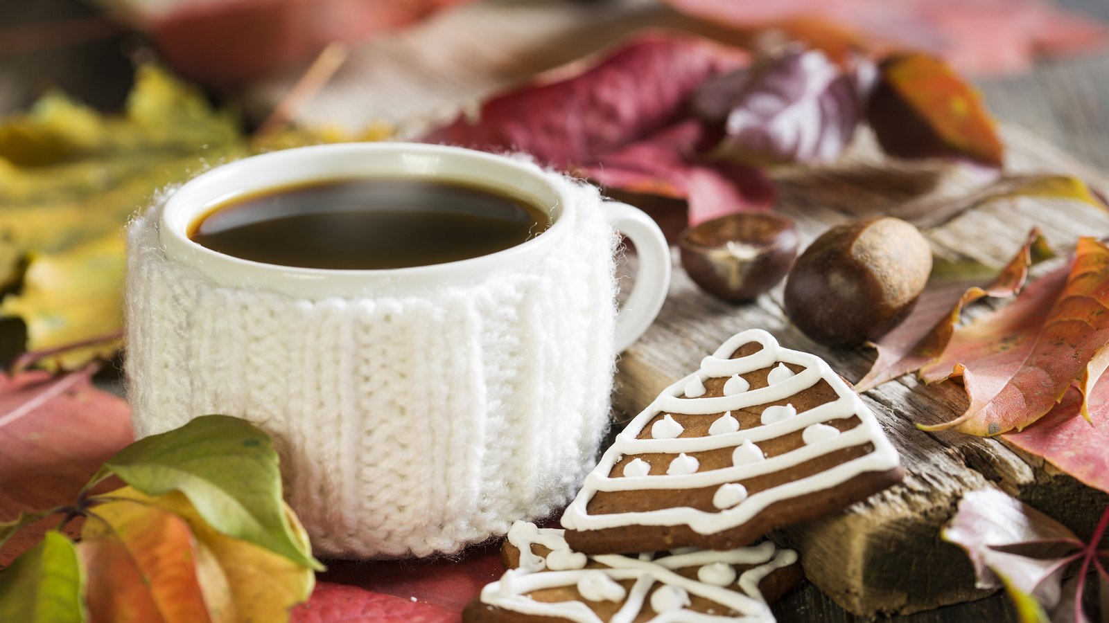 Обои кофе, кружка, печенье, coffee, mug, cookies разрешение 3840x2400 Загрузить