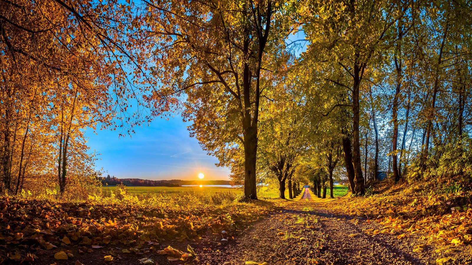 Обои небо, дорога, деревья, природа, лес, листья, парк, осень, the sky, road, trees, nature, forest, leaves, park, autumn разрешение 3840x2400 Загрузить