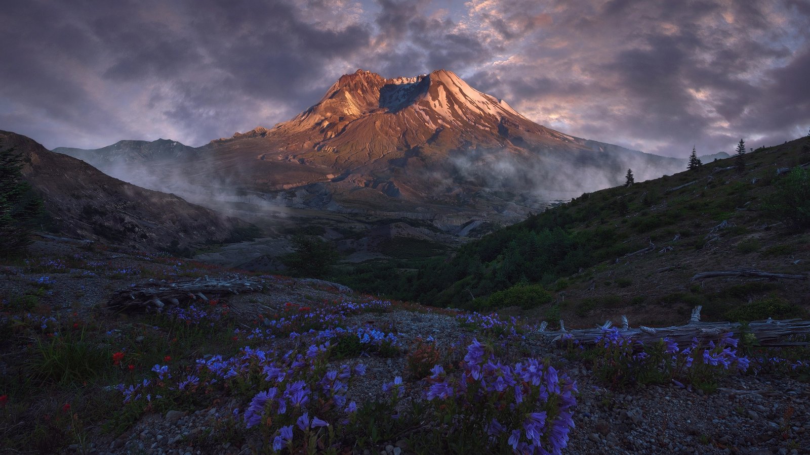 Обои небо, цветы, облака, горы, природа, пейзаж, вулкан, victor carreiro, the sky, flowers, clouds, mountains, nature, landscape, the volcano разрешение 2000x1416 Загрузить