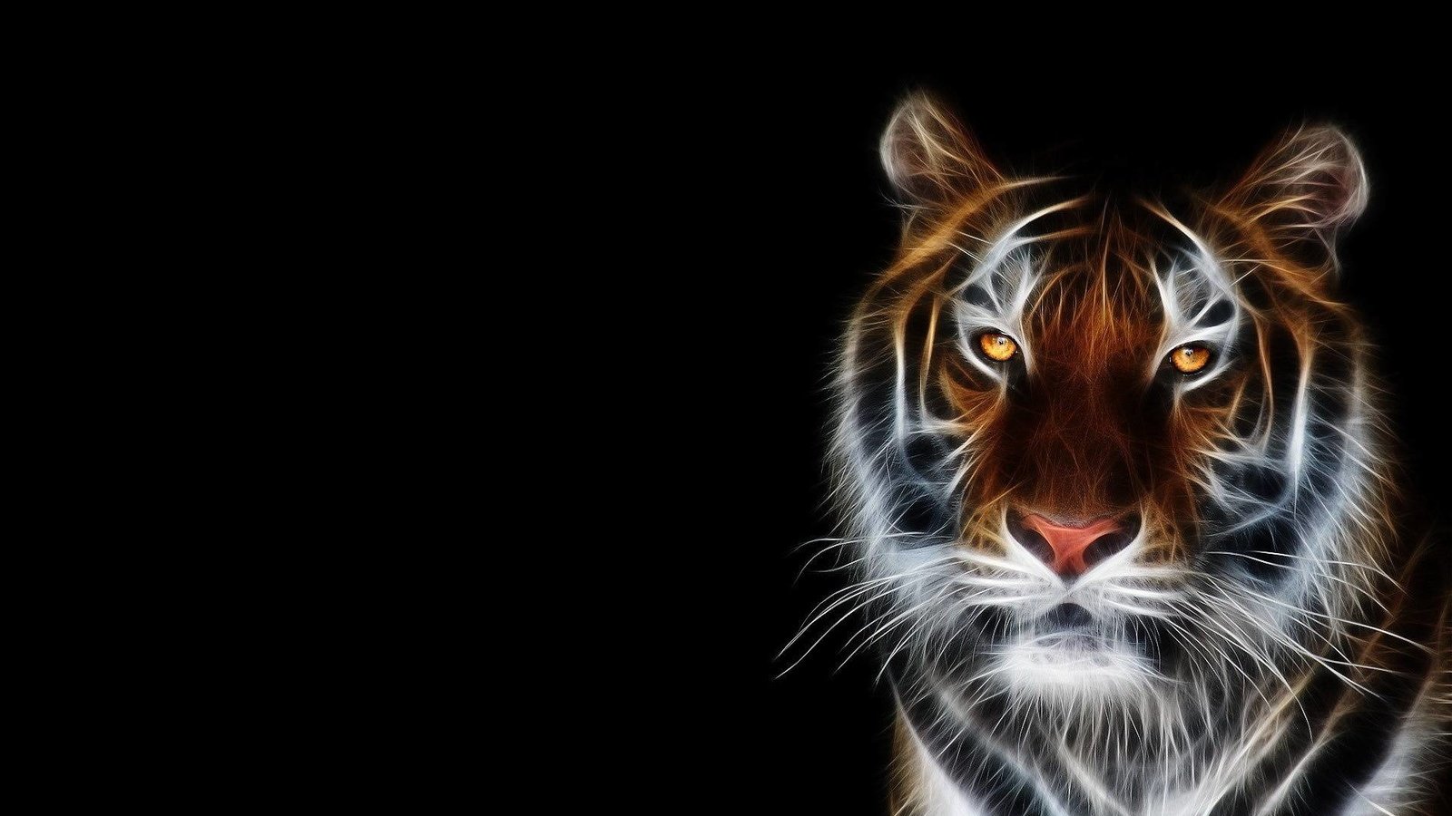 Обои тигр, морда, фон, черный, tiger, face, background, black разрешение 1920x1200 Загрузить