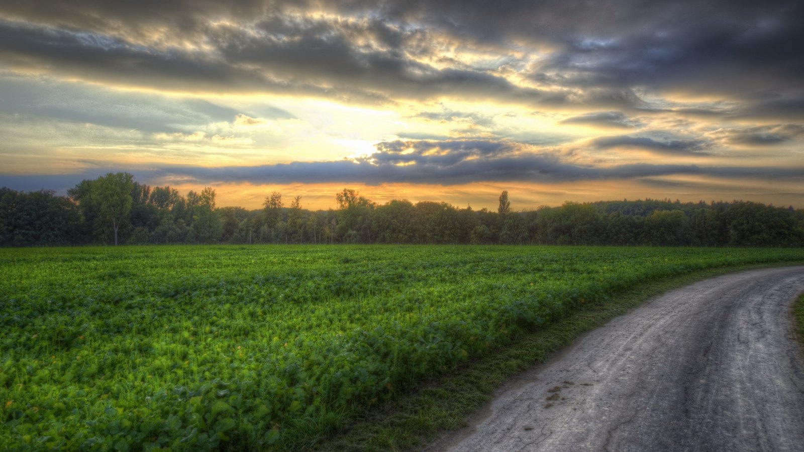 Обои дорога, закат, поле, road, sunset, field разрешение 3840x2160 Загрузить