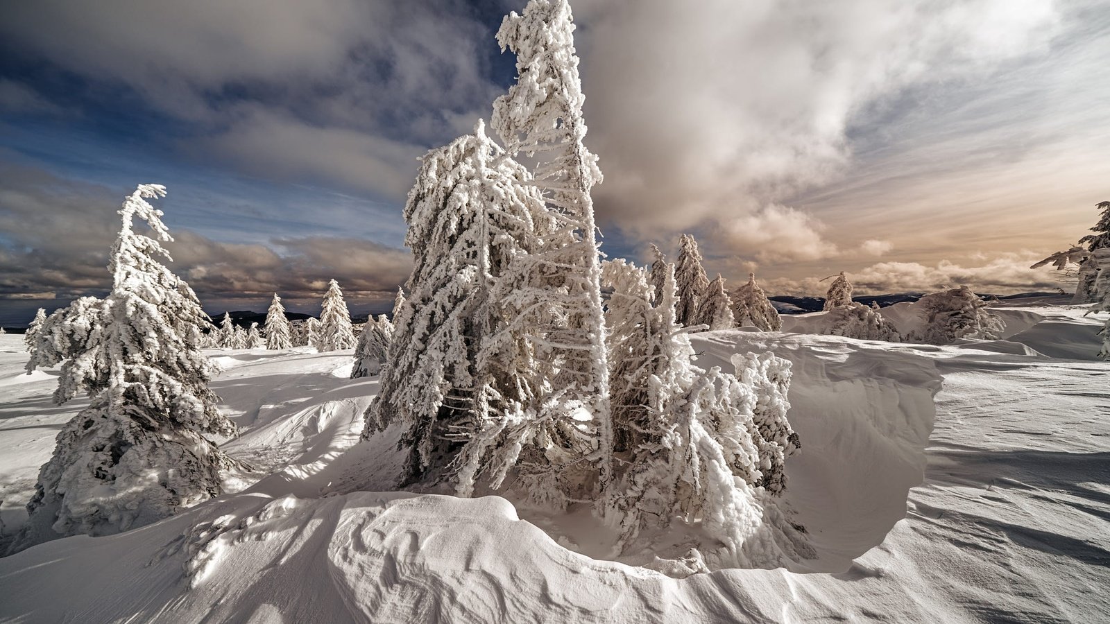 Обои небо, сугробы, облака, снег, природа, лес, зима, ели, елочки, the sky, the snow, clouds, snow, nature, forest, winter, ate, christmas trees разрешение 2000x1334 Загрузить