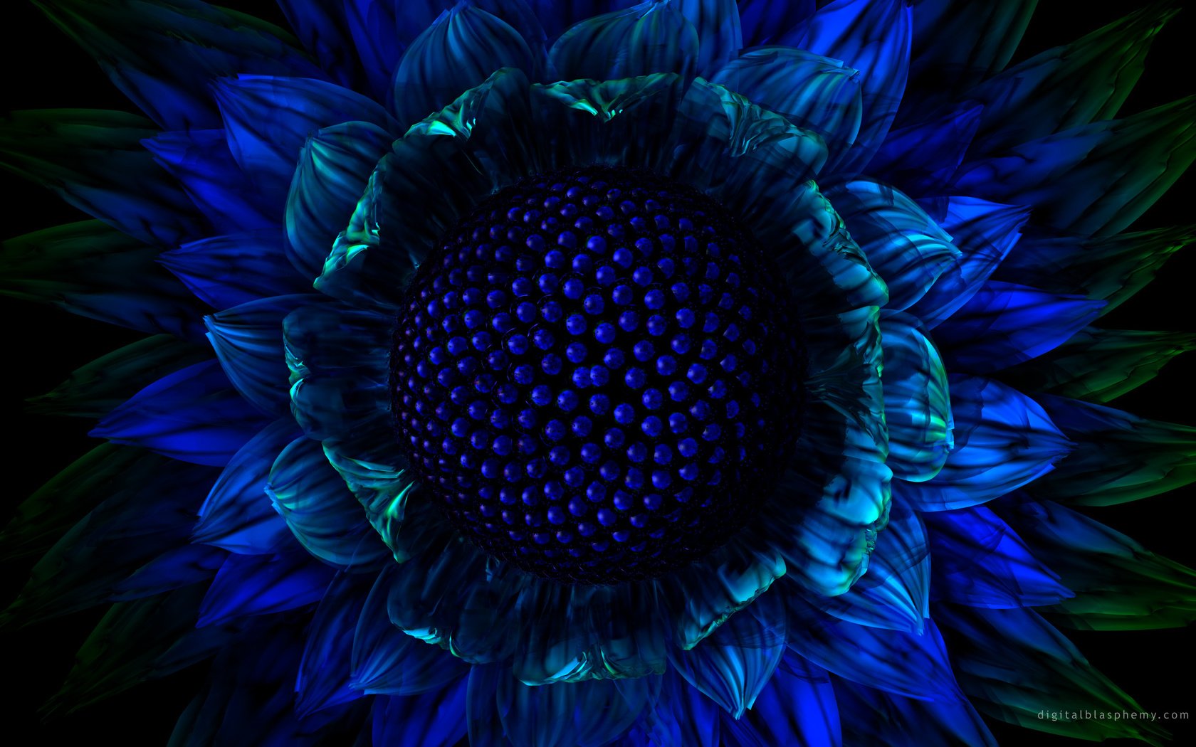 Обои синий, цветок, графика, blue, flower, graphics разрешение 2560x1600 Загрузить