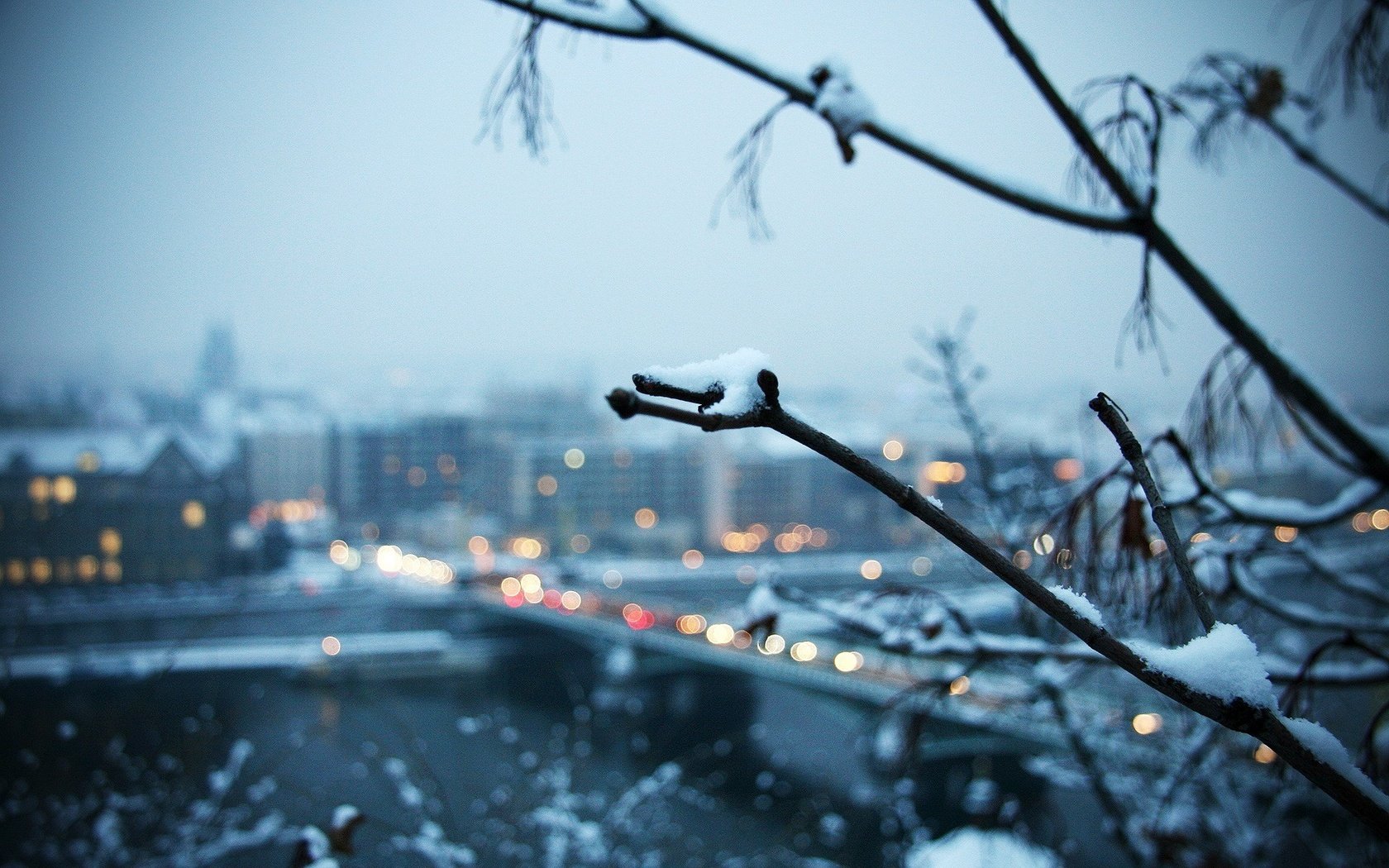 Обои ветка, снег, зима, город, branch, snow, winter, the city разрешение 1920x1200 Загрузить