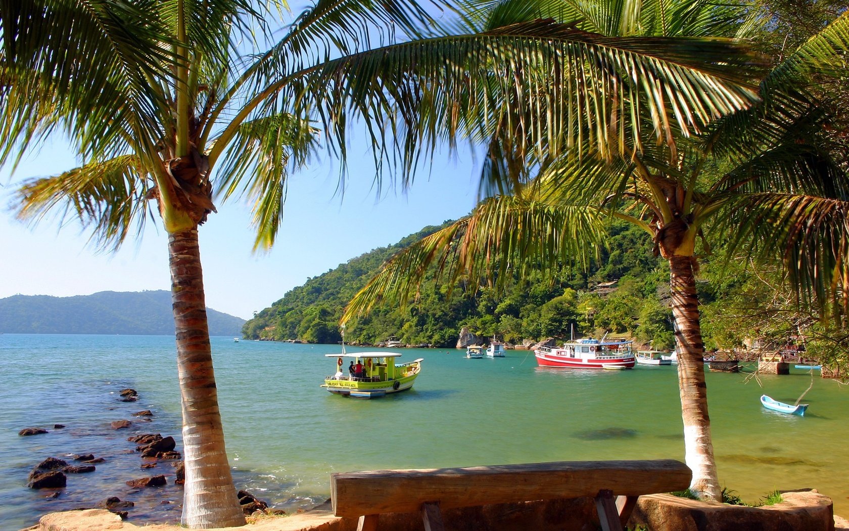 Обои лодки, залив, пальмы, boats, bay, palm trees разрешение 1920x1280 Загрузить